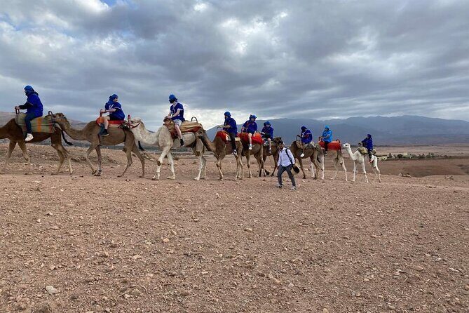 Quad bike & camle Ride & Dinner show in agafay desert - The Practical Details