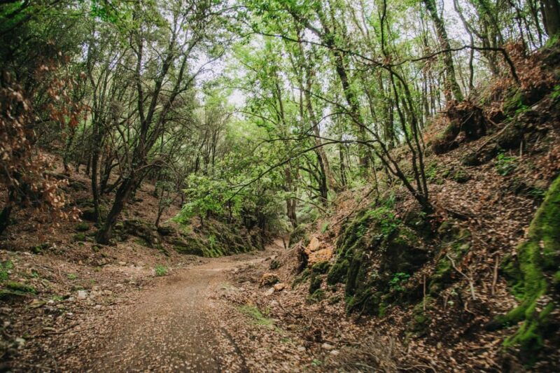 quad-bike-excursion-in-the-gargano