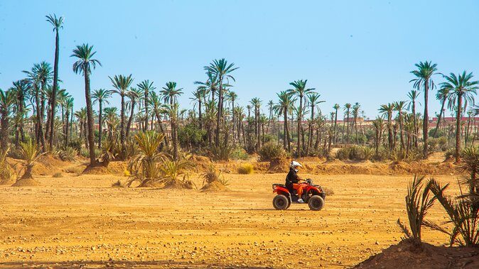 Quad Bike Experience in Marrakech Palmeraie - Frequently Asked Questions