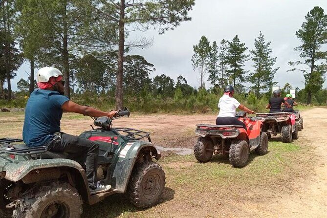 Quad Bike Fun Ride in The Crags, Plettenberg Bay - A Closer Look at the Quad Bike Experience