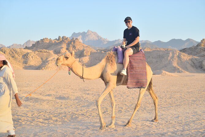 Quad Bike, Jeep, Camel, Sunset, Dinner and Stargazing in Hurghada - FAQ