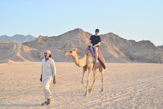 Quad Bike, Jeep, Camel, Sunset, Dinner and Stargazing in Hurghada - Final thoughts