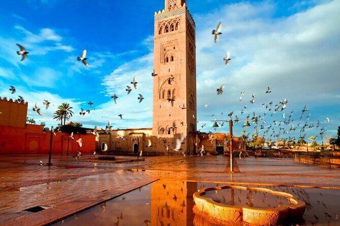 Quad bike ride in Agadir with pick up & drop off - Key Points