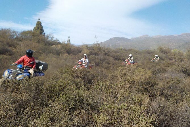 Quad Bike Safari - Who Is This Tour Best For?