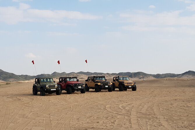 Quad Bike Tour in Jeddah - Key Points
