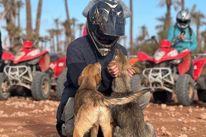 Quad Bike Tour in Marrakech's Palmeraie Desert with Hotel Pick up - What Makes This Tour Worth It?