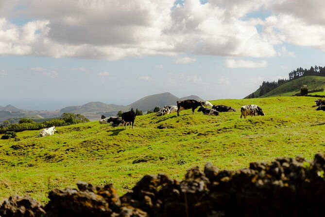 quad-bike-tour-lagoa-de-fogo-half-day