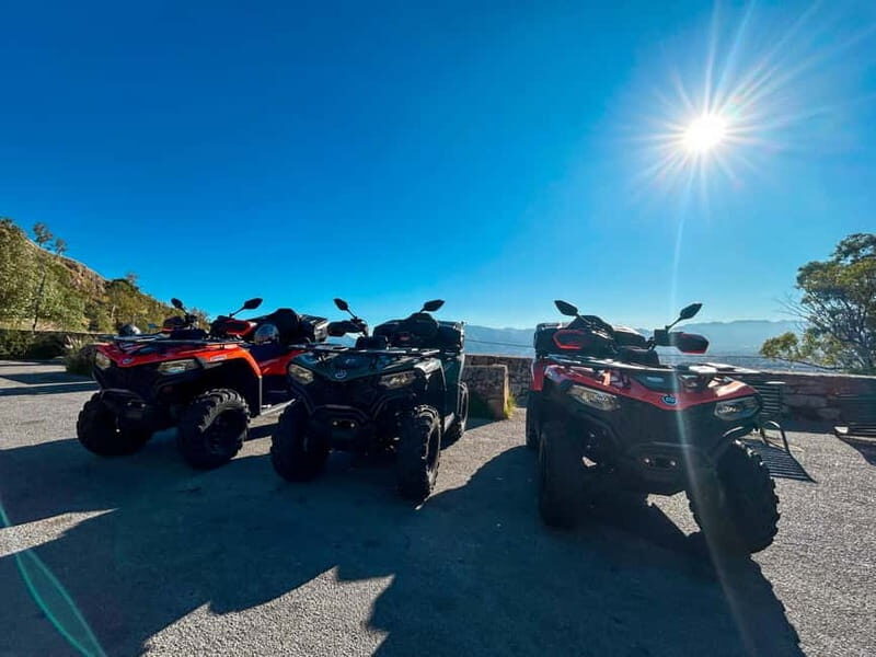 Quad Bike Tours in Palermo Adventure, Panoramas and Sicilian Flavors - What Makes This Experience Stand Out?  