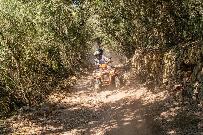 quad-biketour-in-summer-with-cliff-jumping-and-snorkeling