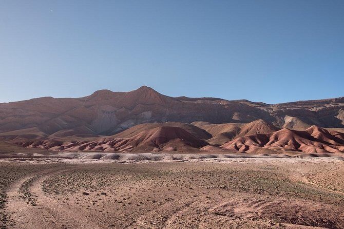 Quad Biking and Camel Ride Guided Day Trip from Marrakech - Key Points