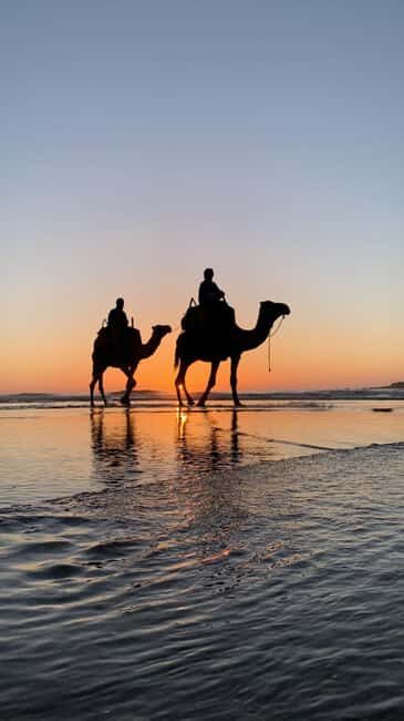 Quad Biking & Camel Riding Combo: Thrill Meets Tradition - Who Should Book This Experience?