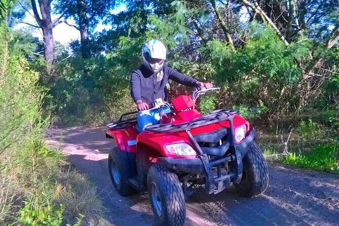 Quad Biking Fun Ride in Wilderness Garden Route - Key Points