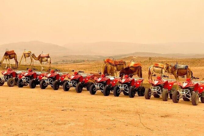 Quad Biking Half Day And Camel Ride In Sunset - Exploring the Quad Biking and Sunset Camel Ride in Agadir: An Authentic Adventure