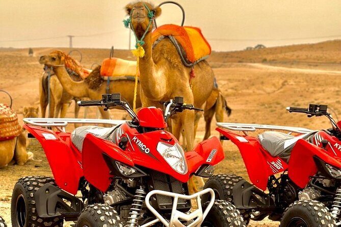 Quad Biking Half Day And Camel Ride In Sunset - Why This Tour Works for You