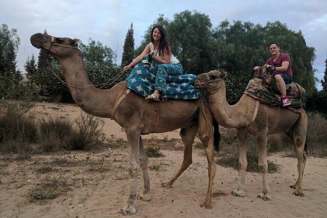 Quad Biking Half Day And Camel Ride In Sunset - Frequently Asked Questions
