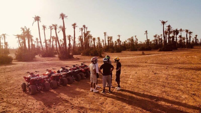 Quad biking in Marrakech's desert palm grove - What to Expect from Your Marrakech Quad Bike Tour