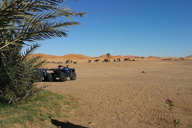 Quad Biking in Merzouga Dunes Desert Erg Chebbi - Final Thoughts