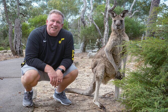 Quad Biking, Koalas and Kangaroos - Private Tour - FAQ