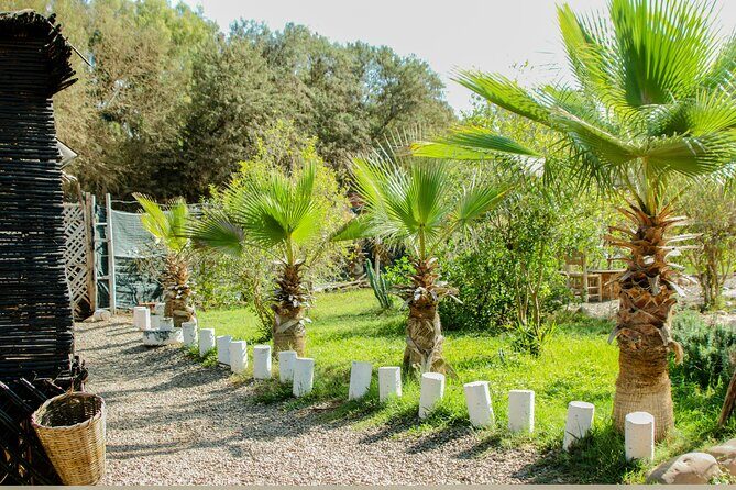Quad Biking on the Beach and Forest Dunes with Pickup from Agadir - The Itinerary Breakdown: What to Expect