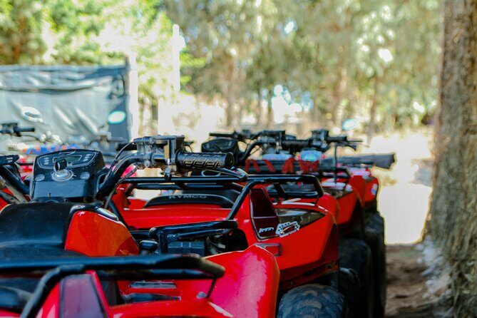 Quad Biking on the Beach and Forest Dunes with Pickup from Agadir - Authentic Experiences and Insightful Highlights
