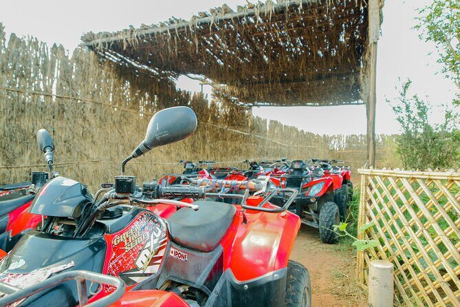 Quad Biking on the Beach and Forest Dunes with Pickup from Agadir - Cancellation Policy and Booking
