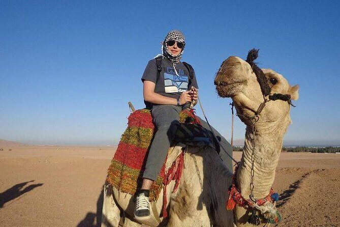 Quad Biking Safari-Camel Ride-Bedouin Dinner and Shows From Sharm - FAQ