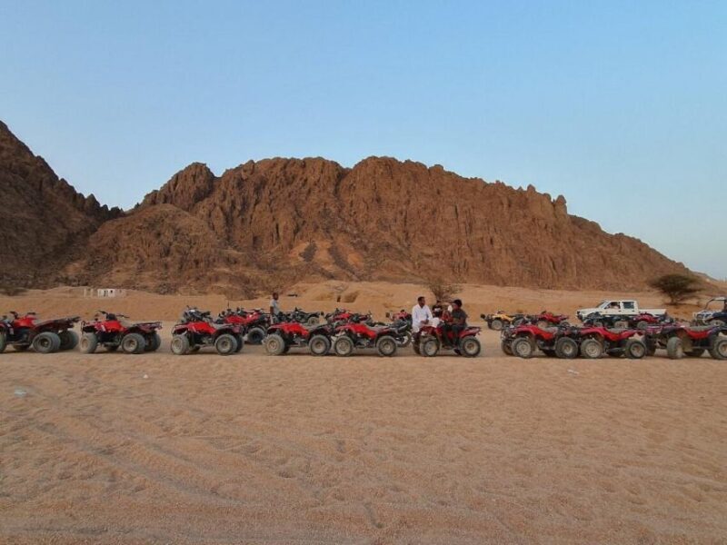 Quad Biking Tour in Sharm El Sheikh Desert - An Honest Look at the Quad Biking Experience