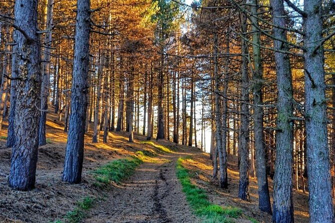 quad-buggy-excursion-tour