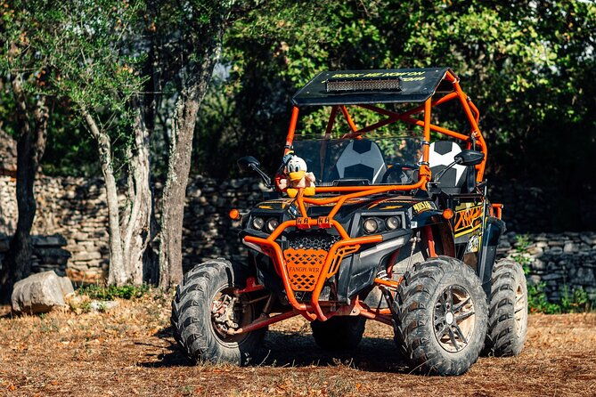 quad-buggy-excursion-tour