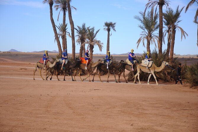 Quad Excursion in Marrakech with Pick-up from Hotel or Riad - The Experience in Detail