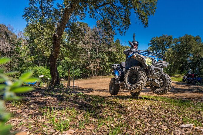 quad-excursion-in-the-maremma-with-barbecue-in-the-woods