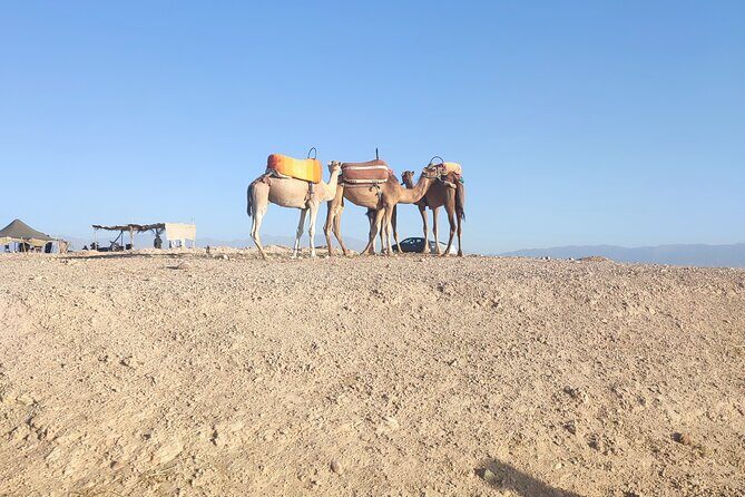 Quad excursion to the Agafay desert near Marrakech - Final Thoughts