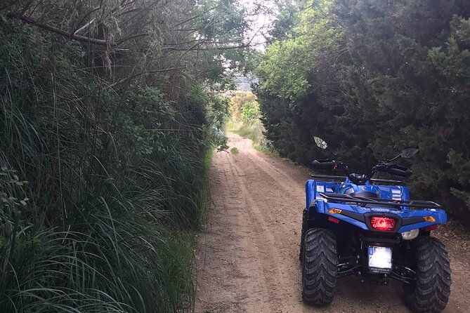 quad-excursions-in-the-heart-of-sicily