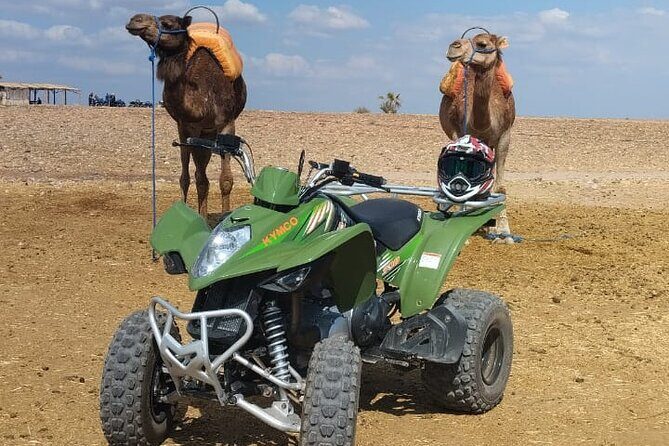 Quad in the Palmeraie of Marrakech - What’s the Tour About?