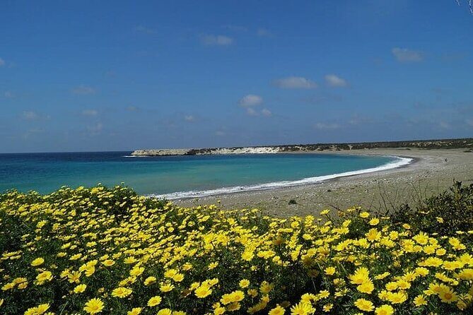 Quad or Buggy Tour from Coral Bay to Lara Bay - The Value of the Tour