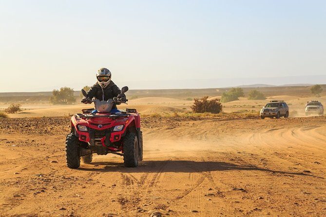 Quad palmeraie Marrakech et balade chameau transport inclus - Key Points