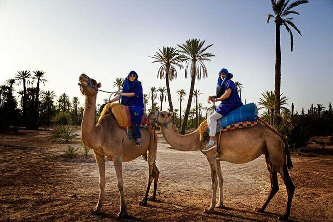 Quad palmeraie Marrakech et balade chameau transport inclus - FAQ