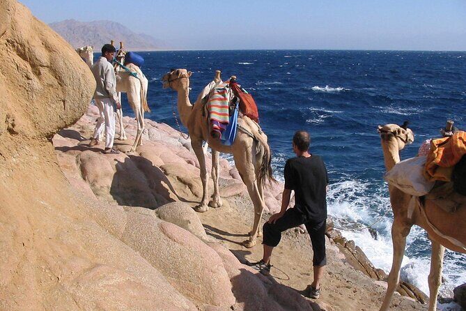 Quad safari in the canyon, snorkeling at the Blue Hole and a visit to Dahab - Key Points