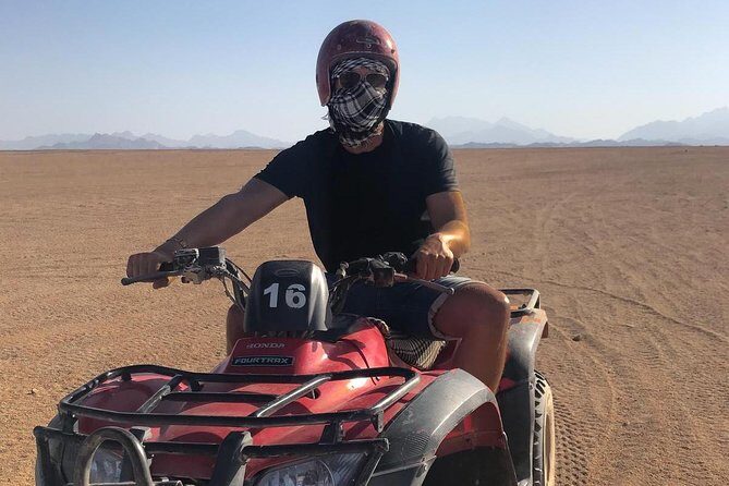 Quad Safari Trip - An In-Depth Look at the Quad Safari Experience
