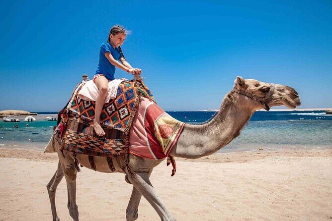 Quad Tour Along the Sea and Mountains in hurghada - Key Points