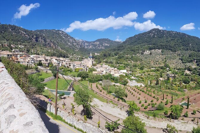 quad-tour-from-paguera-3-hours