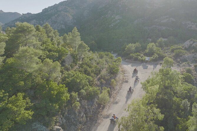 Quad Tour Monte Nieddu: Natural pools & Sardinian Tasting - Who Should Consider This Tour?