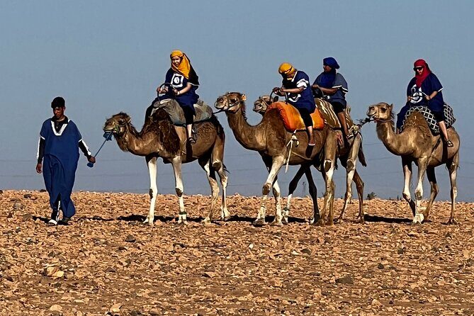 Quad tour to La Palmeraie de Marrakech - The Sum Up