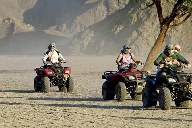Quad with Camel Ride & Bedouin village From Marsa Alam - Key Points