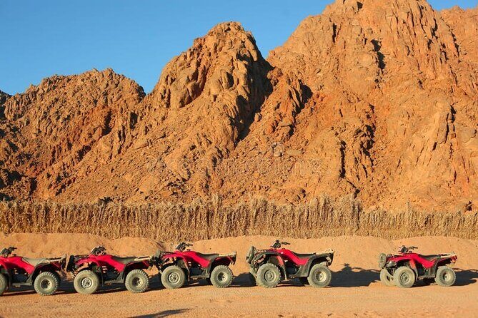 Quad with Camel Ride & Bedouin village From Marsa Alam - Riding Experience and Safety