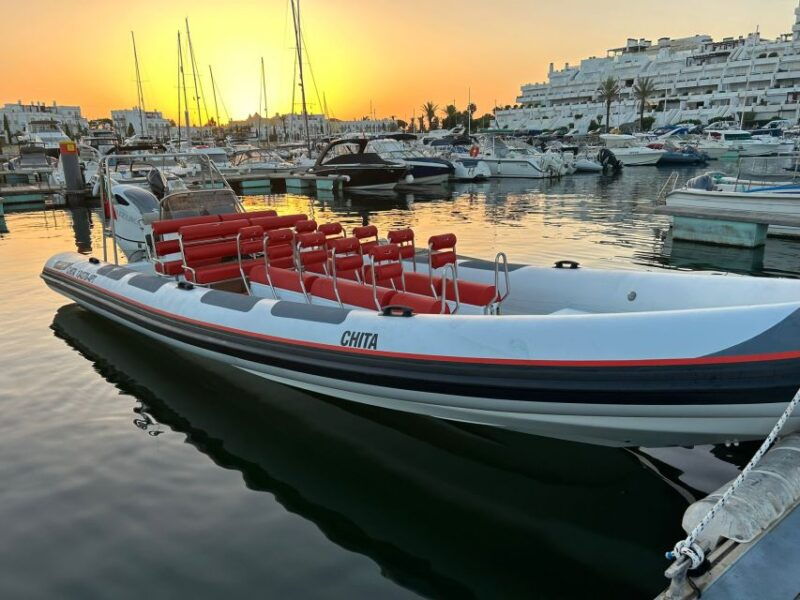 quarteira-algarve-coast-caves-and-dolphin-watching-cruise