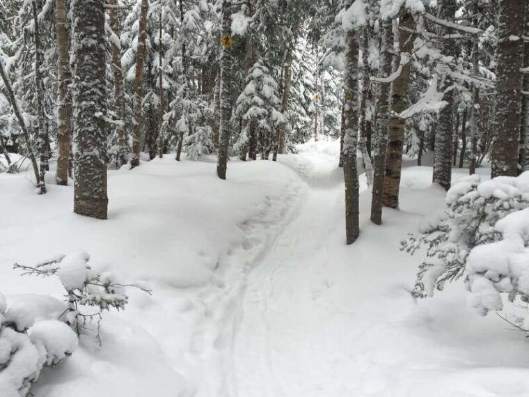 quebec-city-jacques-cartier-national-park-snowshoeing-tour