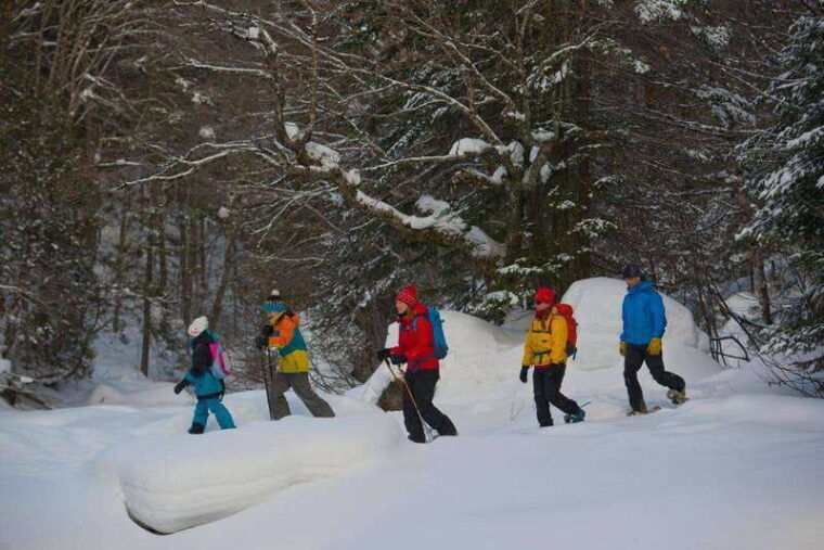 quebec-city-jacques-cartier-national-park-snowshoeing-tour