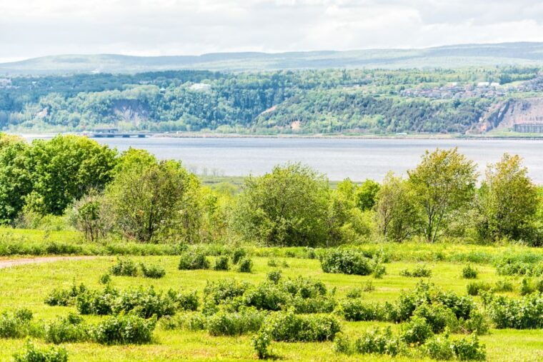 quebec-city-sightseeing-cruise-with-guide