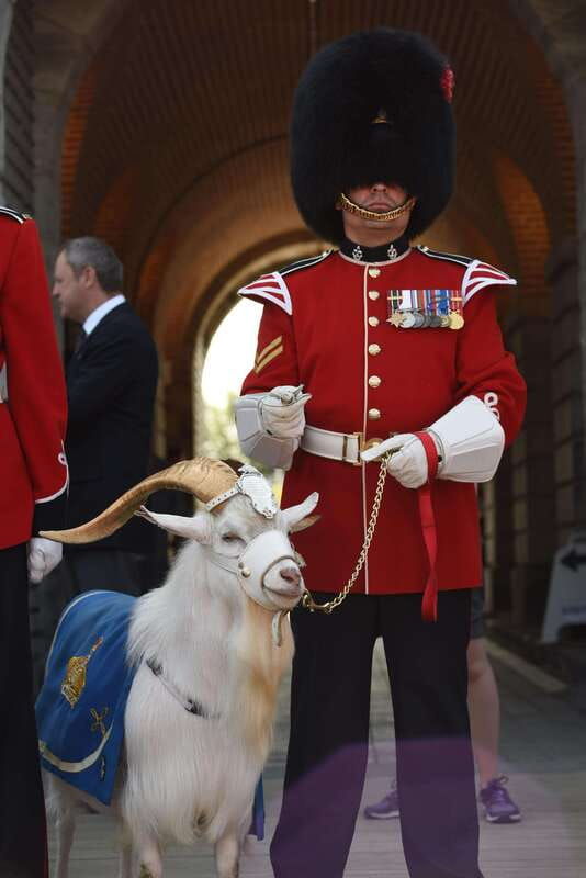 quebec-the-citadel-of-quebec-ticket-and-guided-tour